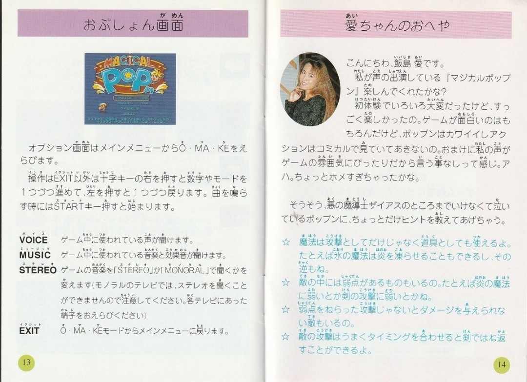 复古游戏说明书价格炒上天 仅因有饭岛爱照片与寄语