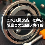 团队规模之惑:樱井政博直言大型团队协作的沮丧真相(图3) 团队规模之惑:樱井政博直言大型团队协作的沮丧真相(图3)