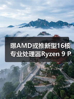 曝AMD或推新型16核专业处理器Ryzen 9 PRO 9965X3D(图3) 曝AMD或推新型16核专业处理器Ryzen 9 PRO 9965X3D(图3)
