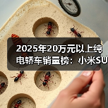 2025年20万元以上纯电轿车销量榜:小米SU7荣耀登顶!(图4) 2025年20万元以上纯电轿车销量榜:小米SU7荣耀登顶!(图4)