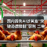 国内首例AI涉黄案 国内首例AI涉黄案