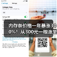 内存条价格一年暴涨300%！从300元一根涨至上千元（图1）