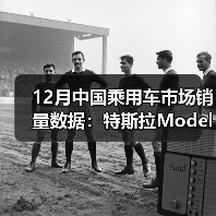 12月中国乘用车市场销量数据：特斯拉Model Y稳