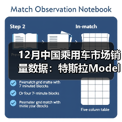 12月中国乘用车市场销量数据：特斯拉Model Y稳居第一（图4）
