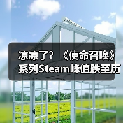 凉凉了？《使命召唤》系列Steam峰值跌至历史新低！（图3）