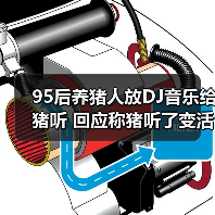 95后养猪人放DJ音乐给猪听 回应称猪听了变活泼(图4) 95后养猪人放DJ音乐给猪听 回应称猪听了变活泼(图4)