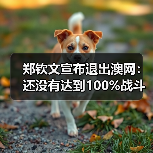 郑钦文宣布退出澳网：还没有达到100%战斗状态（图4）