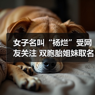 女子名叫“杨烂”受网友关注 双胞胎姐妹取名“灿烂”（图4）