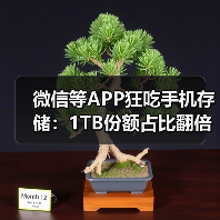 微信等APP狂吃手机存储：1TB份额占比翻倍 64GB要绝迹了（图2）