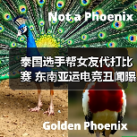 泰国选手帮女友代打比赛 东南亚运电竞丑闻曝光（图4）