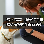 不止汽车!小米17手机降价海报也全面取消小字(图4) 不止汽车!小米17手机降价海报也全面取消小字(图4)
