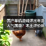 国产单机游戏评出年度人气国单？本土评价体系开启