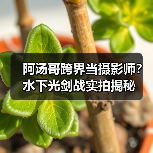 阿汤哥跨界当摄影师?水下光剑战实拍揭秘(图3) 阿汤哥跨界当摄影师?水下光剑战实拍揭秘(图3)