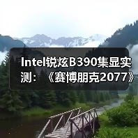 Intel锐炫B390集显实测：《赛博朋克2077》超8