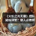 《火炬之光无限》组队掉线频繁？猎人必看网络优化攻略（图3）