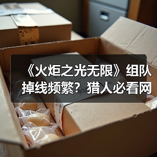 《火炬之光无限》组队掉线频繁？猎人必看网络优化攻略（图4）