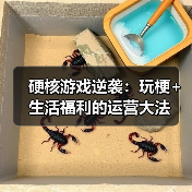 硬核游戏逆袭:玩梗+生活福利的运营大法(图3) 硬核游戏逆袭:玩梗+生活福利的运营大法(图3)